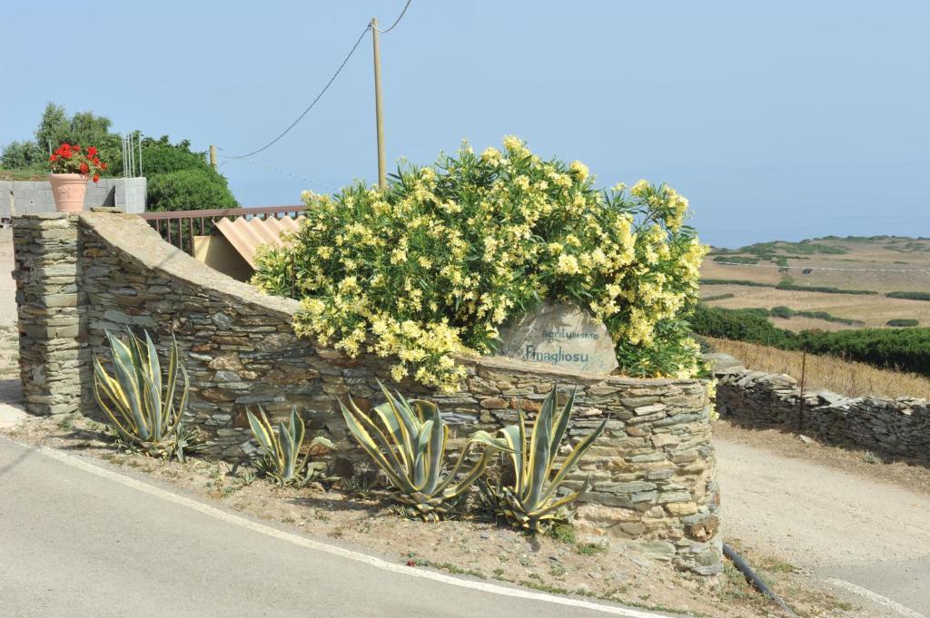 Agriturismo Finagliosu Palmadula Exterior foto